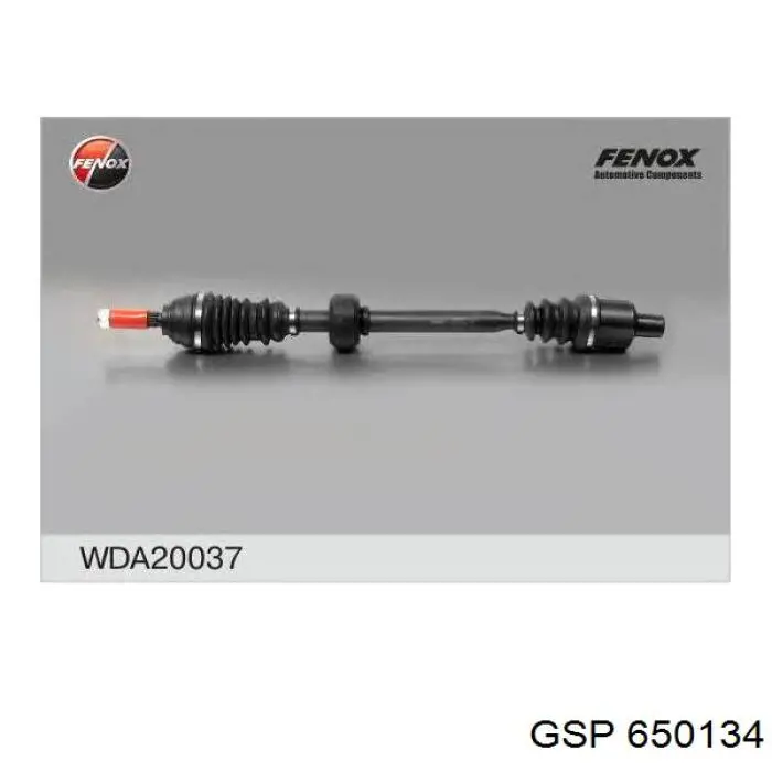 G7E004PC Pascal ШРКШ внутрішній, передній