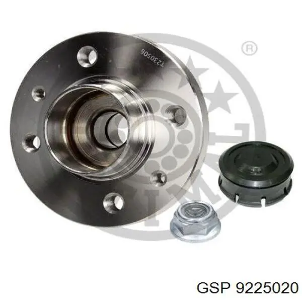 Маточини задніх коліс GSP 9225020 ціна, від 31.76 USD