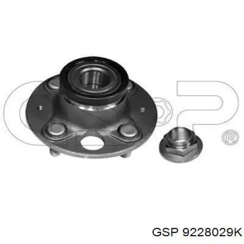 Маточини задніх коліс GSP 9228029K ціна, від 34.74 USD