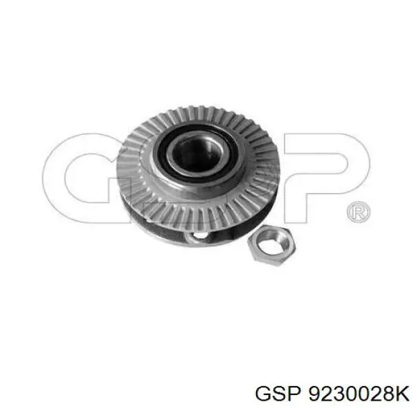 Маточини задніх коліс GSP 9230028K ціна, від 20.18 USD