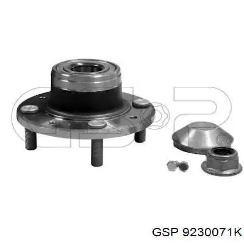 Маточини задніх коліс GSP 9230071K ціна, від 34.75 USD