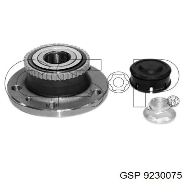Маточини задніх коліс Renault (RVI) 6025370612 ціна, від 36.13 USD