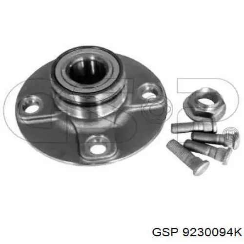 Маточини задніх коліс GSP 9230094K ціна, від 33.94 USD