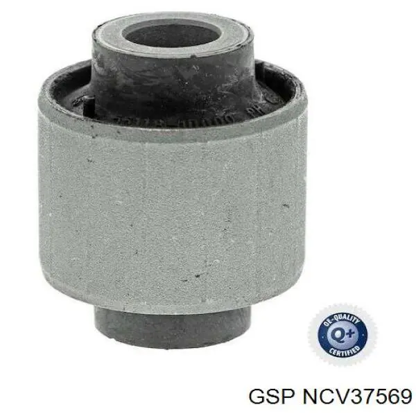 NCV37569 GSP 