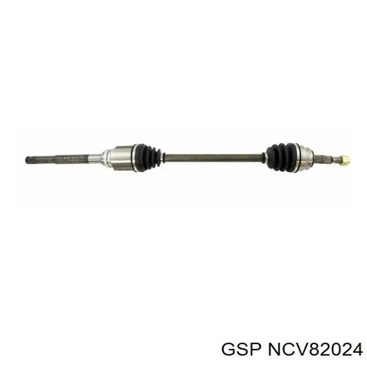  NCV82024 GSP