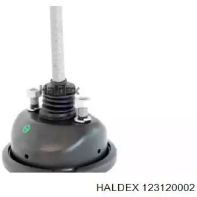 123120002 Haldex Балони повітряні пневмогальм