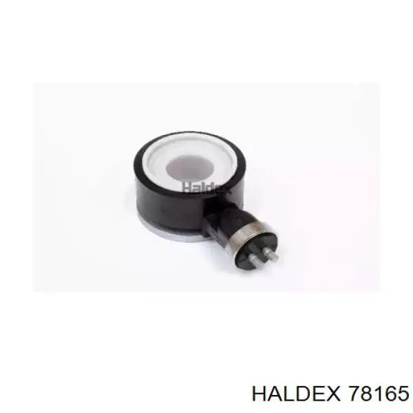 78165 Haldex 