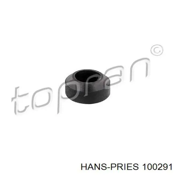100291 Hans Pries (Topran) ущільнююче кільце