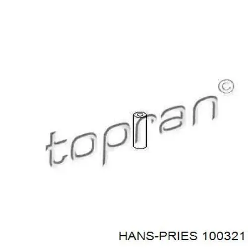 100321 Hans Pries (Topran) розпилювач дизельної форсунки