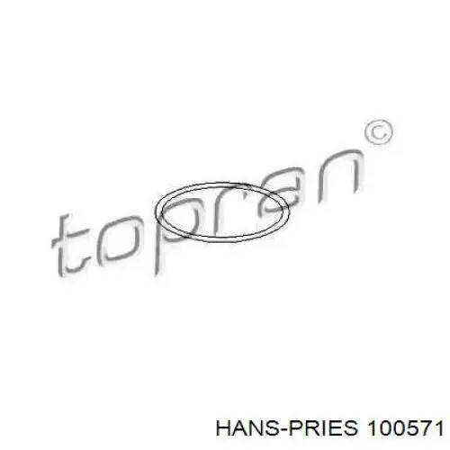 100571 Hans Pries (Topran) Прокладка водяної помпи