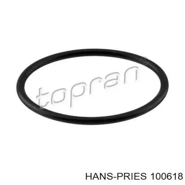 100618 Hans Pries (Topran) прокладка термостата