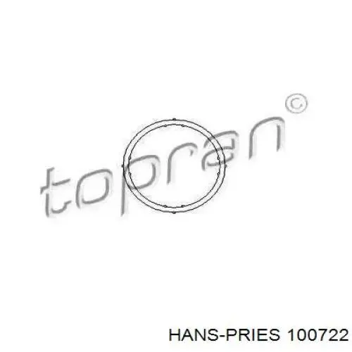 Купити 100722 Hans Pries (Topran) Прокладка фланця (трійника) системи охолодження