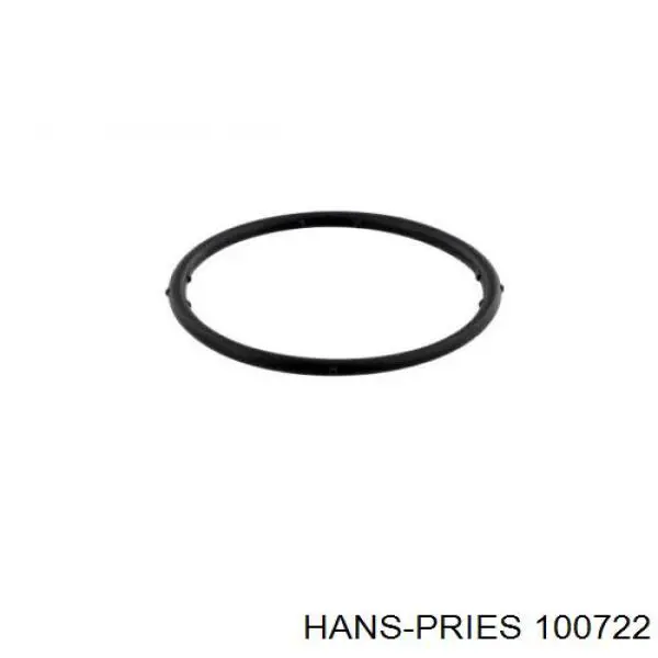 100722 Hans Pries (Topran) прокладка фланця (трійника системи охолодження)