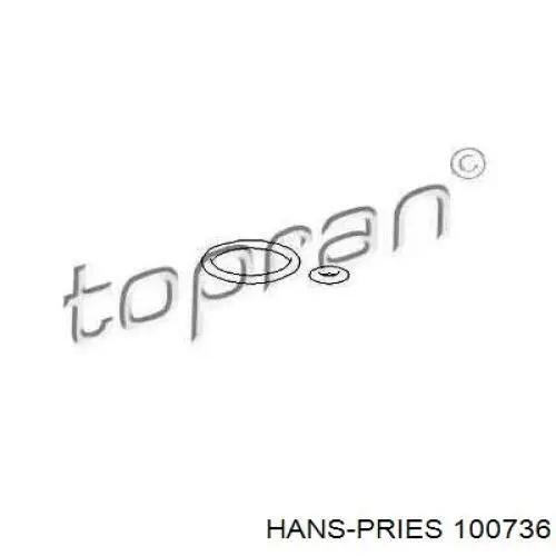 100736 Hans Pries (Topran) прокладка регулятора тиску паливної рейки