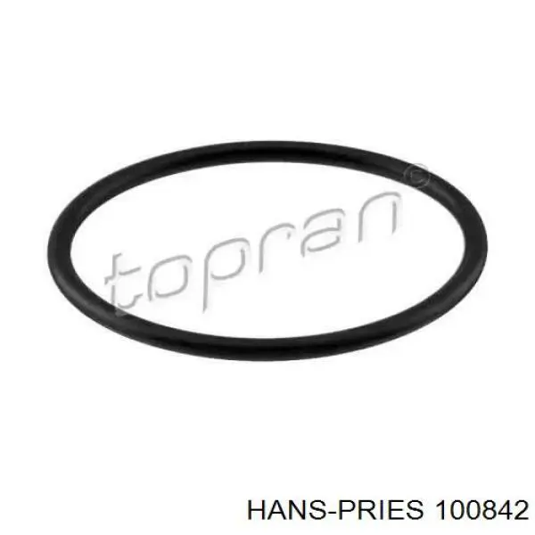 100842 Hans Pries (Topran) ущільнювач паливного насосу