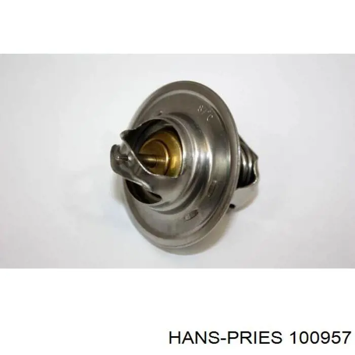 Купити 100957 Hans Pries (Topran) Термостат в корпусі
