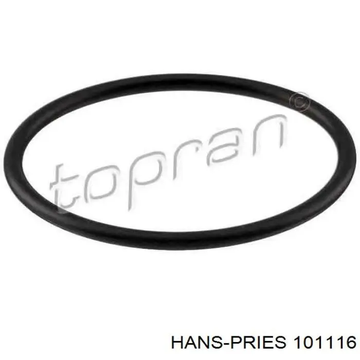 Купити 101116 Hans Pries (Topran) Заглушка блоку циліндрів