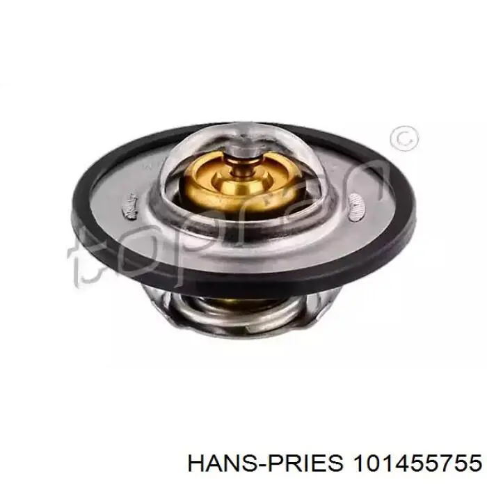 Термостат в зборі Hans Pries (Topran) 101455755