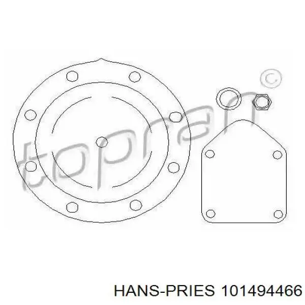 Прокладка вакуумного насосу 101494466 Hans Pries (Topran)