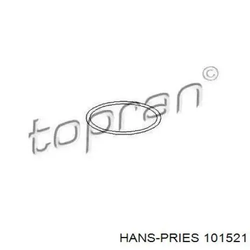 101521 Hans Pries (Topran) Прокладка водяної помпи