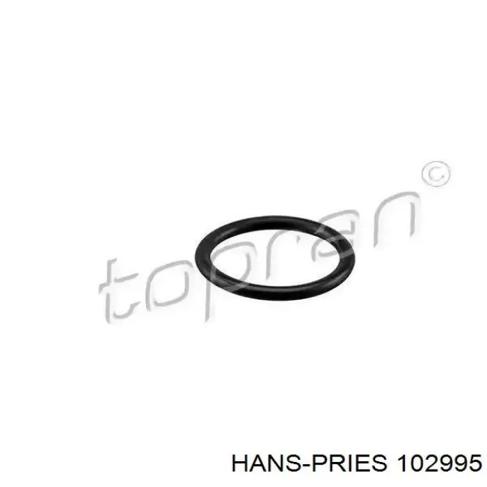 Шланг/патрубок радіатора охолодження, нижній 102995 Hans Pries (Topran)