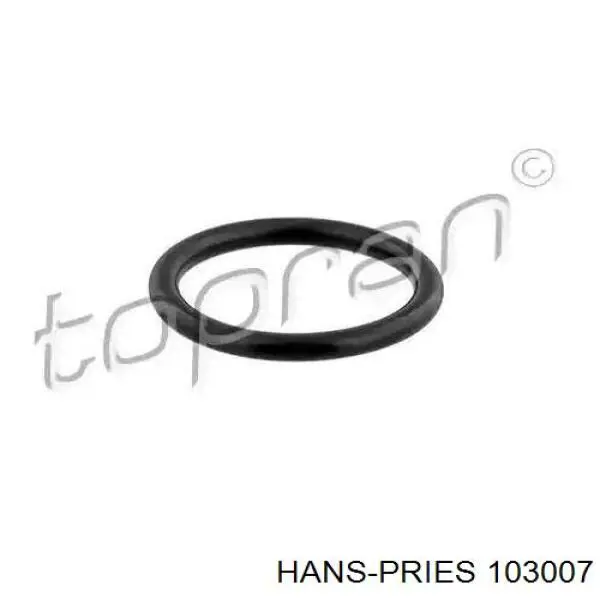 103007 Hans Pries (Topran) прокладка кришки розширювального бачка
