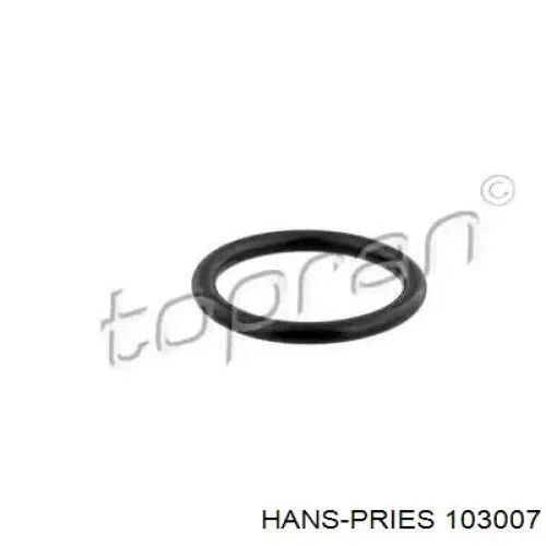 Прокладка кришки розширювального бачка Hans Pries (Topran) 103007 ціна, від 0.62 USD