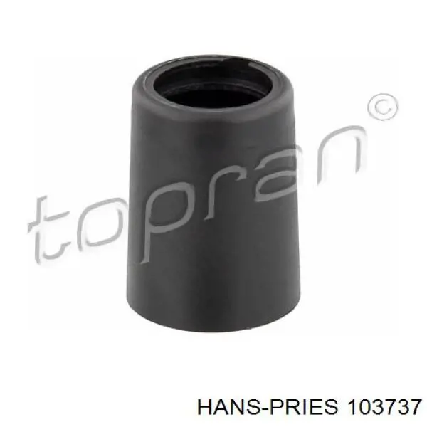 103737 Hans Pries (Topran) Важіль передньої підвіски нижній, правий