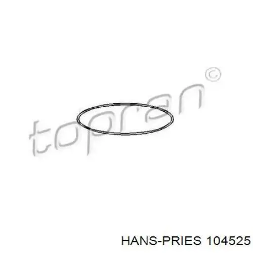 104525015 Hans Pries (Topran) кільце ущільнювальне під гільзу двигуна