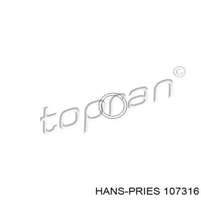 Купити 107316 Hans Pries (Topran) Кільце форсунки