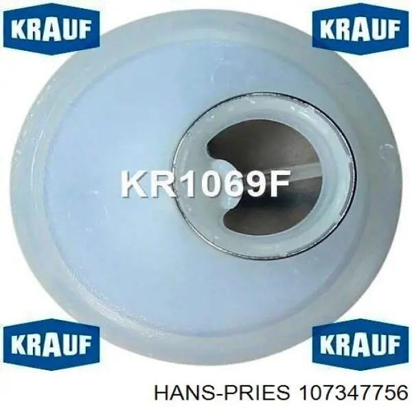 Купити 107347756 Hans Pries (Topran) Насос занурювальний в баці