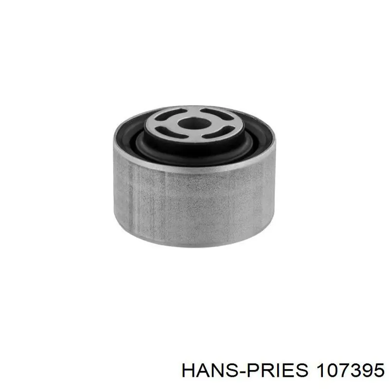 Трубка картера повітряна Hans Pries (Topran) 107395 ціна, від 5.09 USD