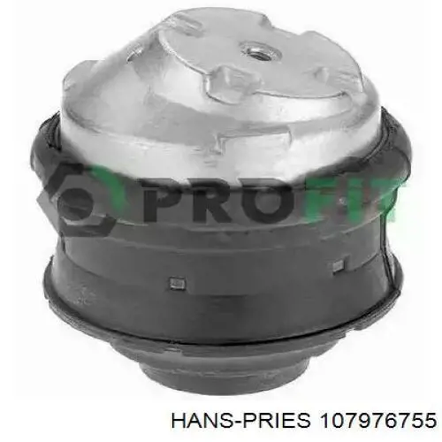 107976755 Hans Pries (Topran) Права подушка мотора