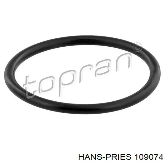 Купити 109074 Hans Pries (Topran) Кронштейн куліси КПП