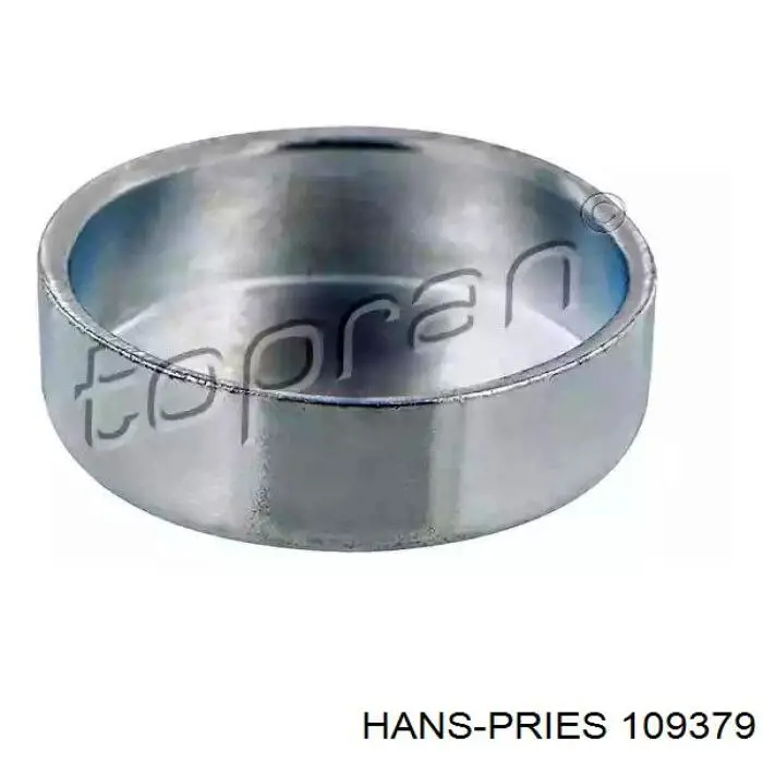 Купити 109379 Hans Pries (Topran) Заглушка блоку циліндрів