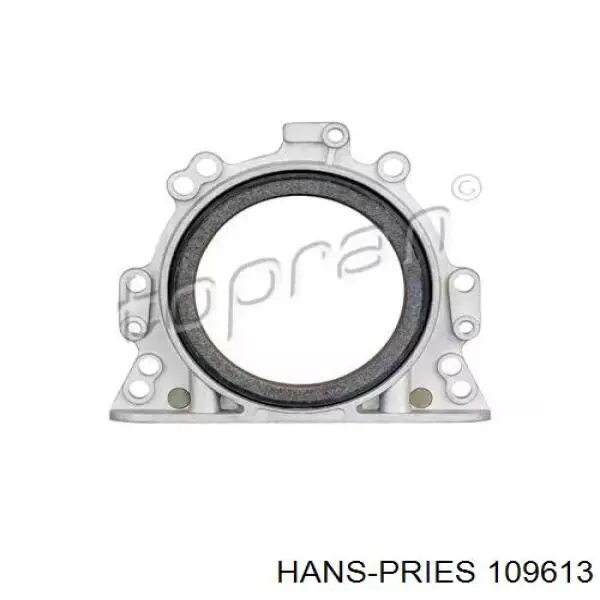 Сальник колінвала двигуна, задній 109613 Hans Pries (Topran)