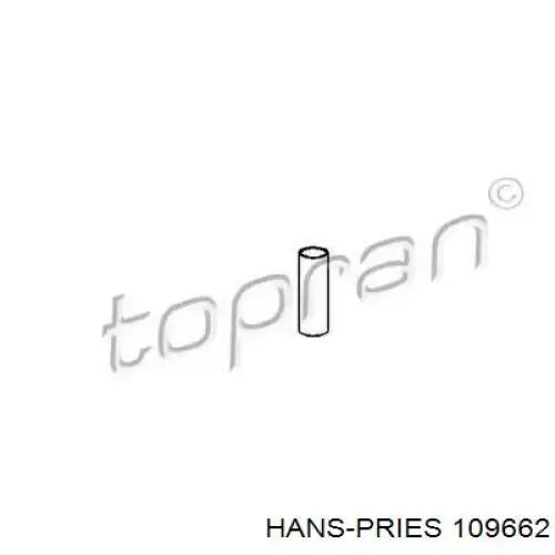 109662 Hans Pries (Topran) Сайлентблок переднього нижнього важеля