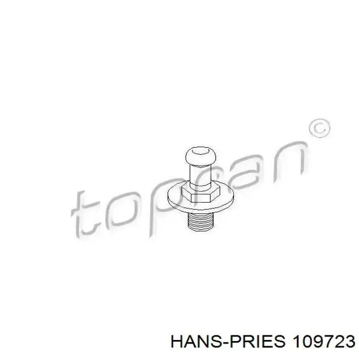 Купити 109723 Hans Pries (Topran) Ексцентрик лічинки замка дверей