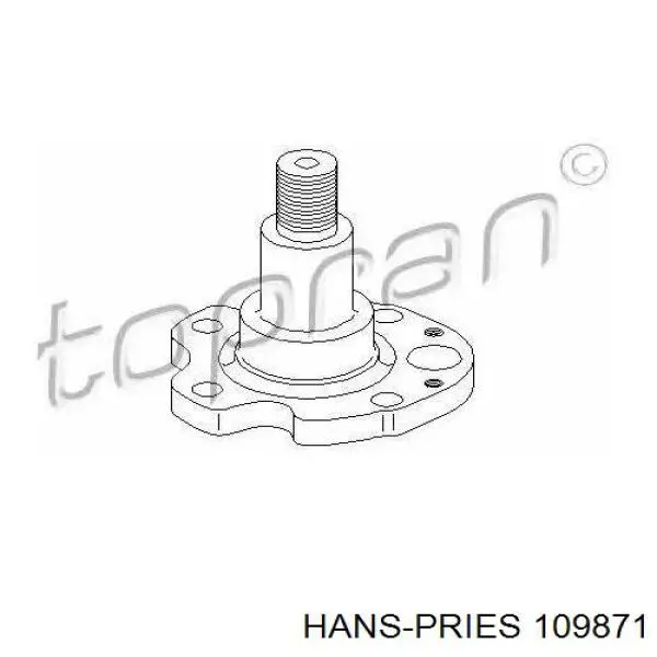 109871 Hans Pries (Topran) цапфа - поворотний кулак задній