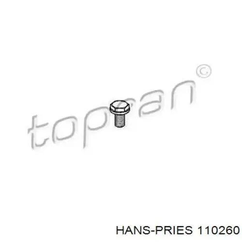 Купити 110260 Hans Pries (Topran) Болт кріплення маховика