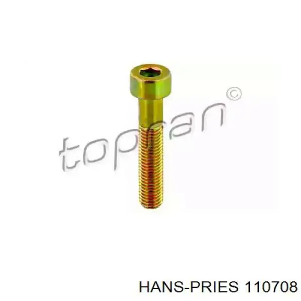 Купити 110708745 Hans Pries (Topran) Болт гальмівного супорту