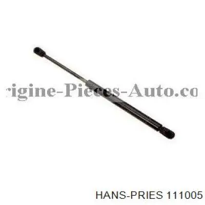 Сайлентблок заднього нижнього важеля 111005 Hans Pries (Topran)
