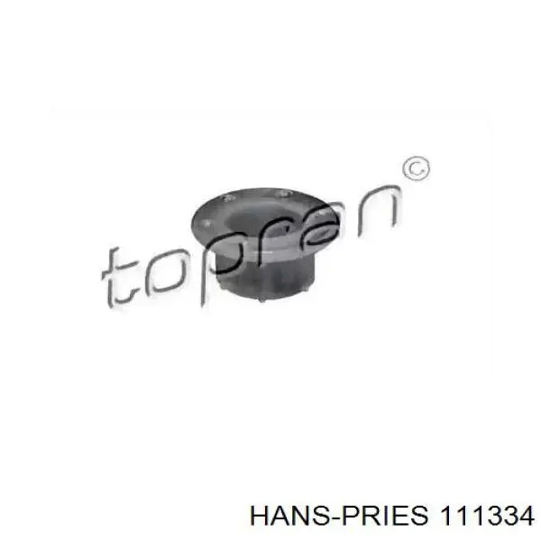  111334 Hans Pries (Topran)