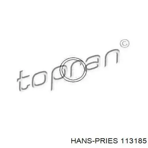 113185 Hans Pries (Topran) ущільнююче кільце масловідділювача картерних газів