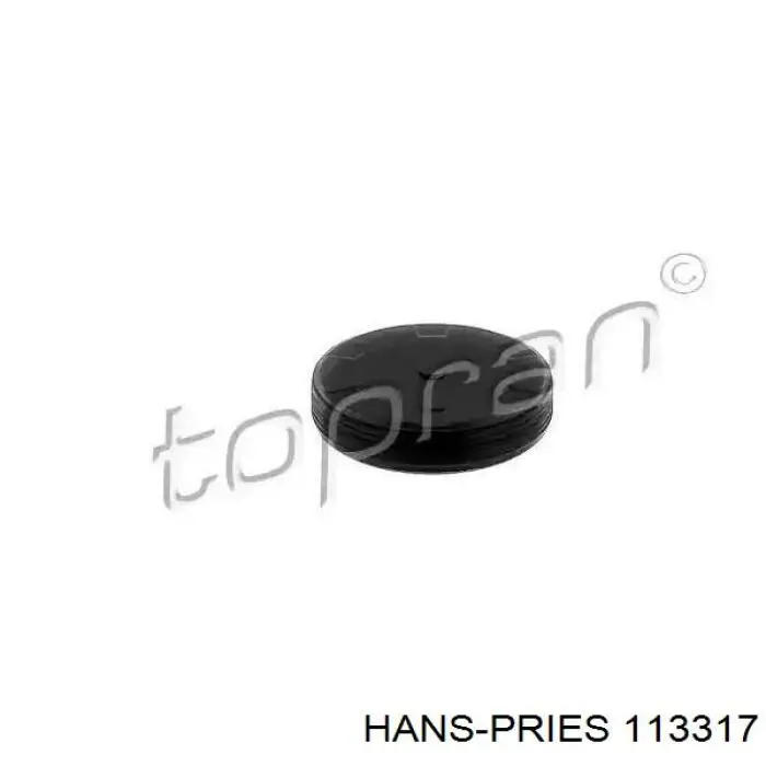 Купити 113317 Hans Pries (Topran) Заглушка блоку циліндрів