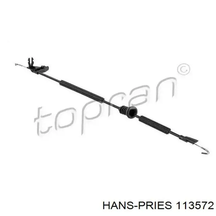  113572 Hans Pries (Topran)