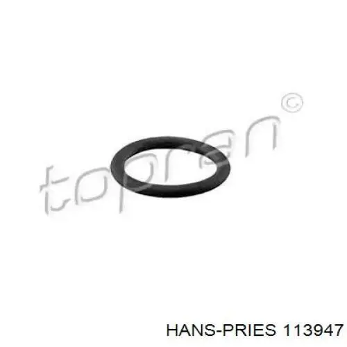 113947 Hans Pries (Topran) кільце ущільнювальне трубки кондиціонера