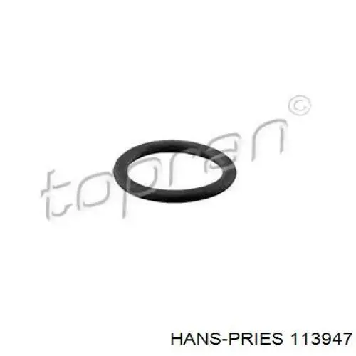 113947 Hans Pries (Topran) Кільце ущільнювальне трубки кондиціонера