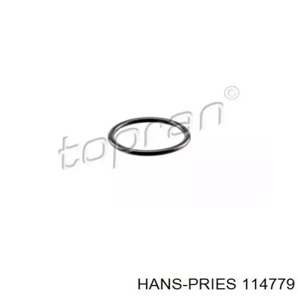 114779 Hans Pries (Topran) Кільце ущільнювача шланга компресора, зворотнього
