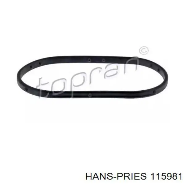 115981 Hans Pries (Topran) 